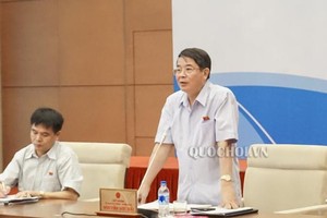 財政預算委員會主任阮德海在討論會上發言。（圖源：Quochoi.vn）