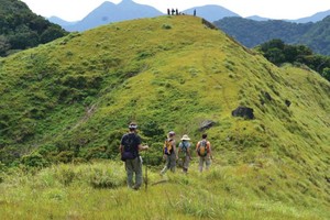 （示意圖源：互聯網）