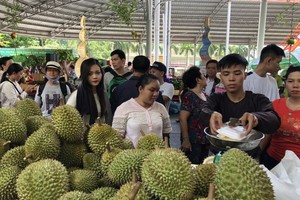 南部水果節吸引眾多遊客前往購買、品嚐水果。