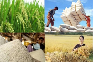 （示意圖源：互聯網）