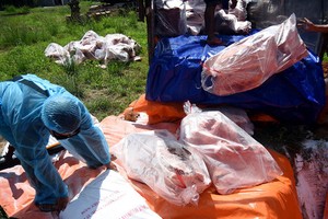 同奈省職能力量銷毀逾4.2噸對ASF病毒呈陽性反應的豬肉。