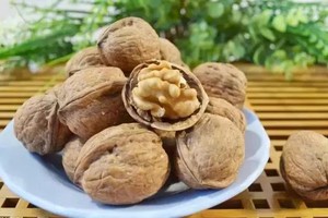 「長壽果」核桃４大功效。（圖源：互聯網） 