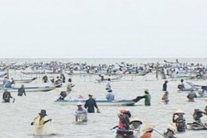 連日來，約有上百人湧至岬角灘開採蛤蜊。（圖源：CTV）