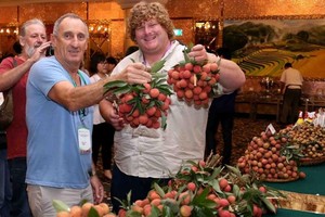 陸岸荔枝滿足美中市場進口條件。（示意圖源：越通社）