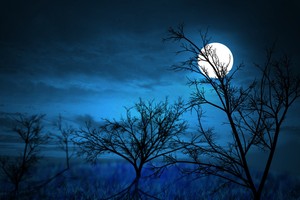 （示意圖源：互聯網） 