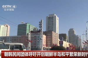 朝韓民間團體籲開創朝半島和平繁榮新時代。（圖源：CCTV視頻截圖）