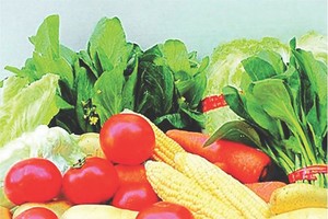 （示意圖源：互聯網） 