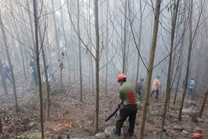 火勢撲滅後的現場。（圖源：阮莊）