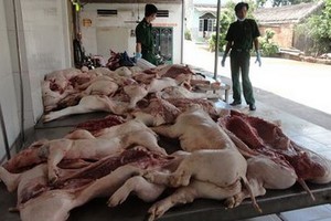 市公安部門配合有關職能力量查獲一批來歷不明的豬肉。（圖源：誠鐘）