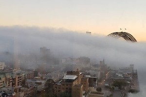 大霧籠罩悉尼。（圖源：互聯網）