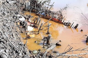 圖為河道泥土被擅自挖掘之處，導致河畔遭坍塌。（圖源：晉泰）