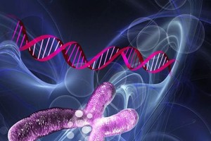 新方法成功從小鼠體內去除愛滋病病毒。（示意圖源：互聯網）