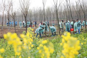 研究指出，全球植樹造林潛力大有望儲存大部分碳排放。（示意圖源：互聯網）