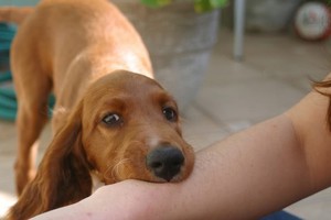 （示意圖源：互聯網） 