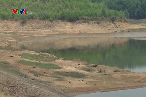 農業與農村發展部：乾旱天氣若再延續，中部區域今年夏秋造將有6萬5500公頃的水稻及農作物缺水。