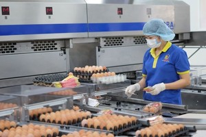 巴勳公司革新生產線提高產品質量。