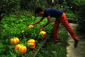 （示意圖源：互聯網） 