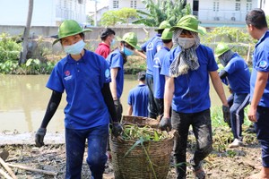 志願大學生在守德郡三平坊疏濬螞蟥涌。