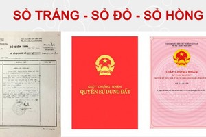 （示意圖源：互聯網） 