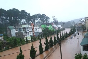 豪雨連綿導致大勒市多條街道盡成澤國。（圖源：重洋）