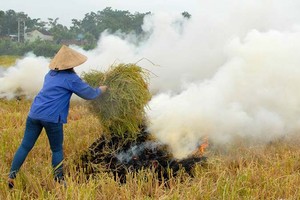 露天燃燒稻草會導致空氣品質惡化、危害民眾 健康。（圖源：互聯網）