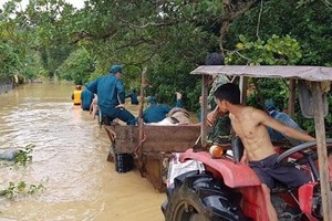 同奈省定館縣青山鄉受淹嚴重。（圖源：進明）