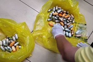 被查獲的1.6公斤毒品。（圖源：ĐD）