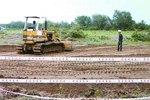 新動物園安置區正處於平整場地施工階段。（圖源：C.M.H）