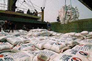 截至今年7月底，全國共有171家大米出口經銷商獲簽發許可證。（示意圖源：互聯網）