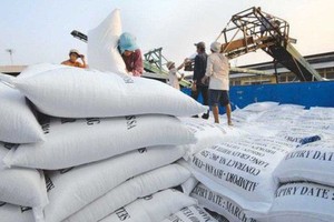 上週，我國5%碎米大米出口價格每噸從340至350美元，從本月2至10日，約10萬3000噸大米運往本市各港口。（示意圖源：互聯網）