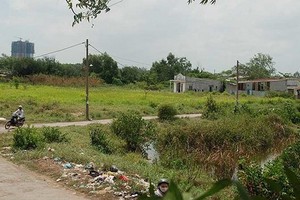 本市南面都市區某項目的農業用地。