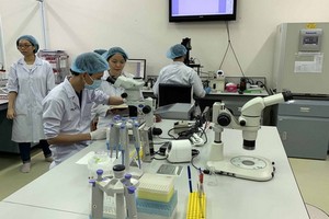 國際大學學生在實驗室工作。