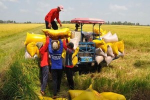 打造無公害有機農業