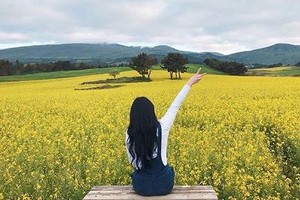 （示意圖源：互聯網）