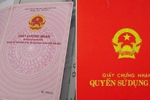 （示意圖源：互聯網）