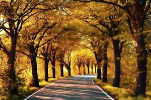 （示意圖源：互聯網）