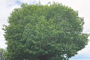 秋高氣爽，風和日麗。