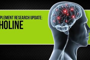 （示意圖源：互聯網）