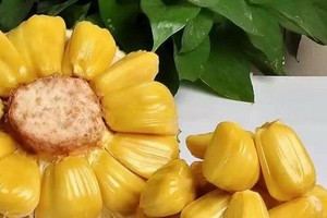 菠蘿蜜（圖源：互聯網）