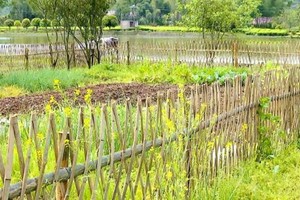 （示意圖源：互聯網）