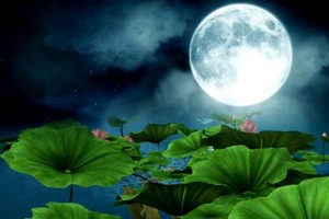 （示意圖源：互聯網）