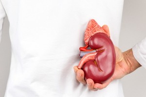 （示意圖源：互聯網）