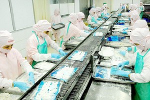 某單位生產加工出口食品。