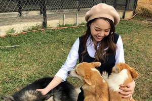 寵犬體積雖大，但卻「善解人意」。