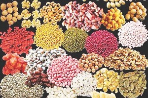 （示意圖源：互聯網）