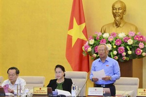 國會副主席汪周琉（左）在會議上發言。（圖源：越通社）