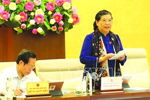 國會常務副主席從氏放（中）在會上發表講話。（圖源：越通社）