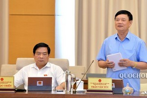 國會代表工作處主任陳文粹（右）在會上發言。（圖源：Quochoi.vn）