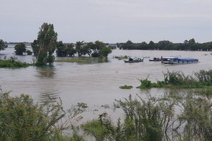 洪水水位已上漲，並淹沒永會東、富友、永祿等鄉若干聯村交通道路。（圖源：互聯網）