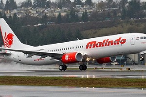 馬印航空公司一架客機。（圖源：互聯網）